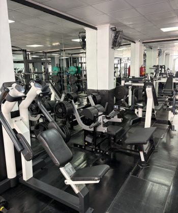 Equipamiento de fuerza de alta gama: máquinas de palanca Hammer Strength para un aislamiento muscular máximo.