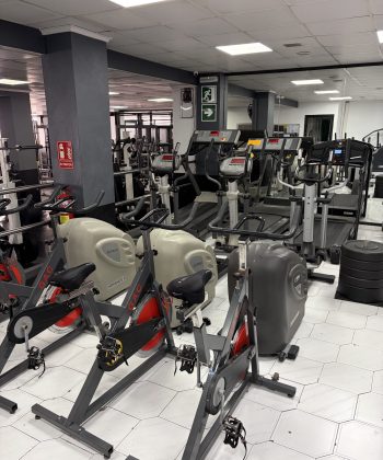 Área cardiovascular completa con bicicletas de ciclo indoor, cintas de correr y elípticas.